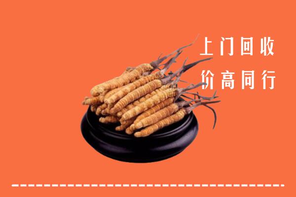 高价求购：安阳回收散虫草