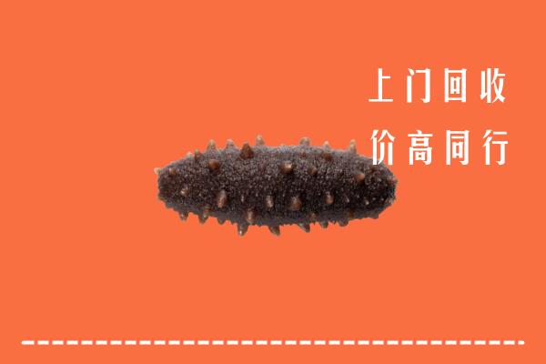 高价求购：安阳回收海参